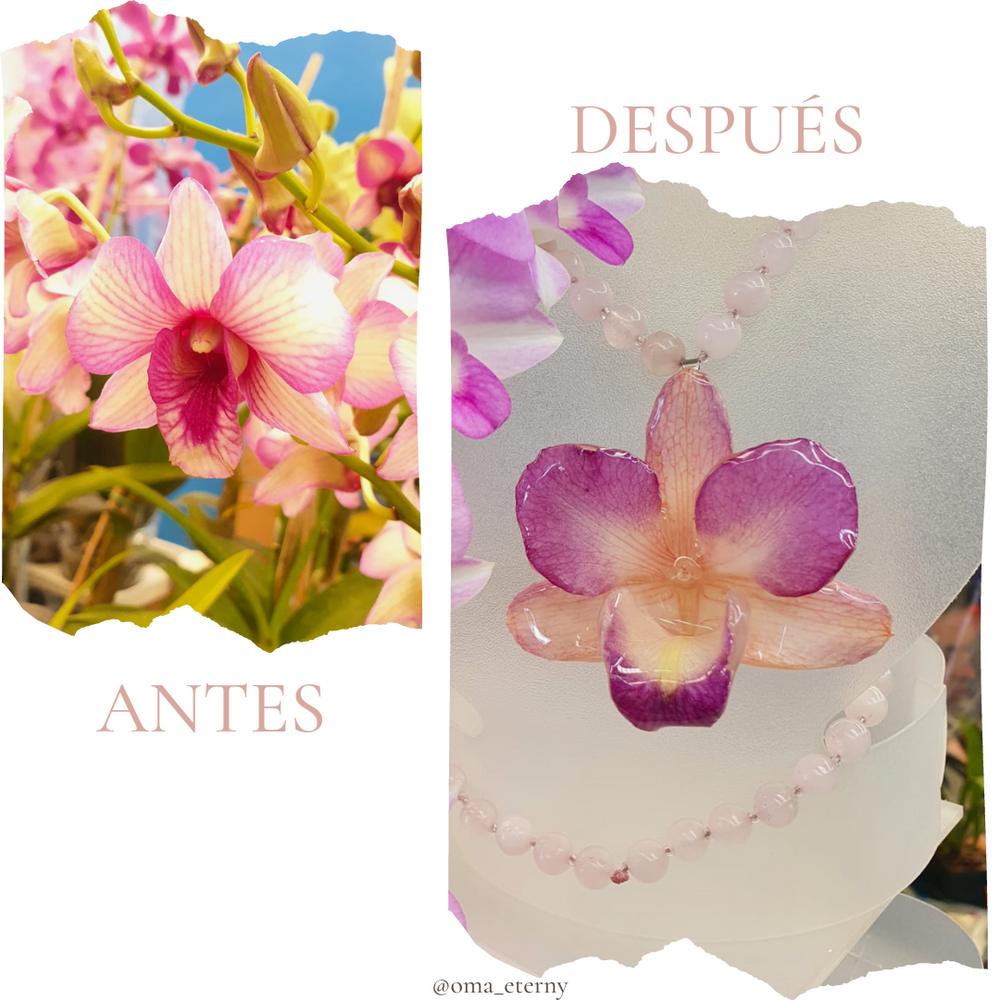 Dijes de orquídeas