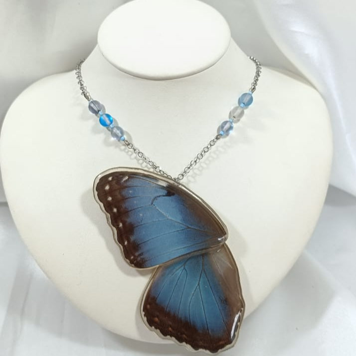 Ala de Mariposa Morpho Azul