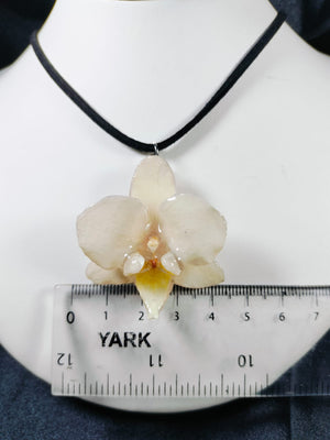 Juego de phalaenopsis blanca con pétalos de orquídeas