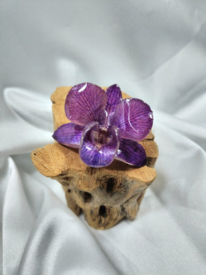 Anillo de dendrobium morada