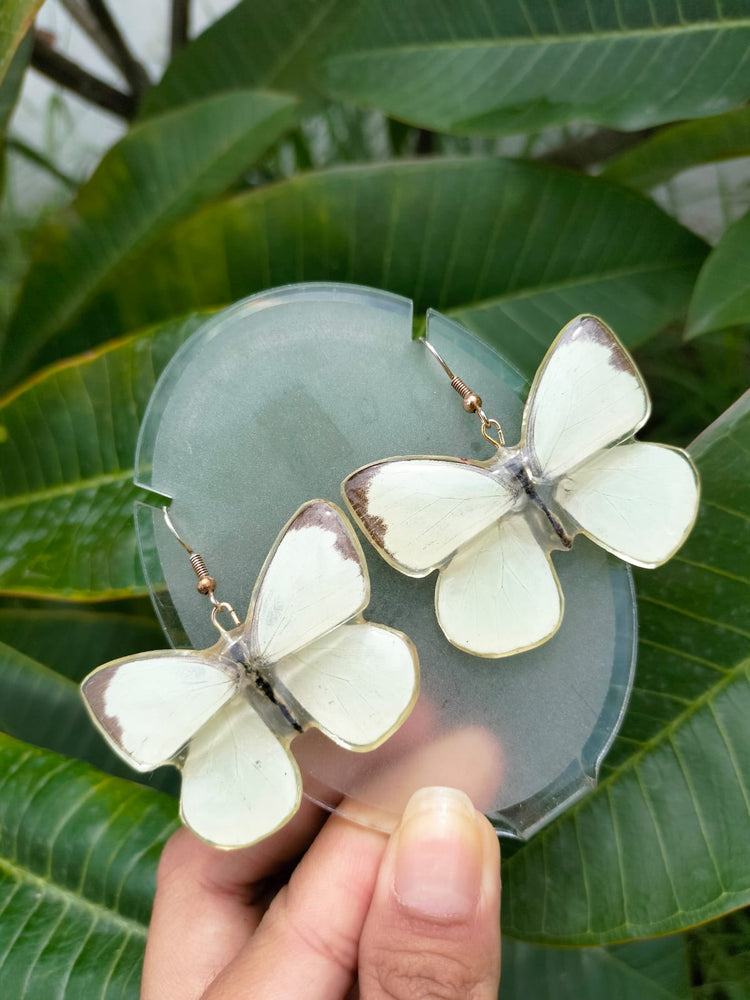 Aretes de mariposa blanca