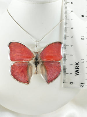 Dije de Mariposa Cymothoe sangaris con cadena de plata