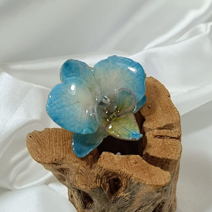Anillo de phalaenopsis  azul -blanco