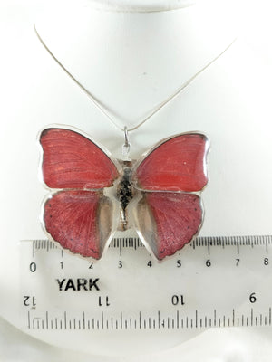 Dije de Mariposa Cymothoe sangaris con cadena de plata