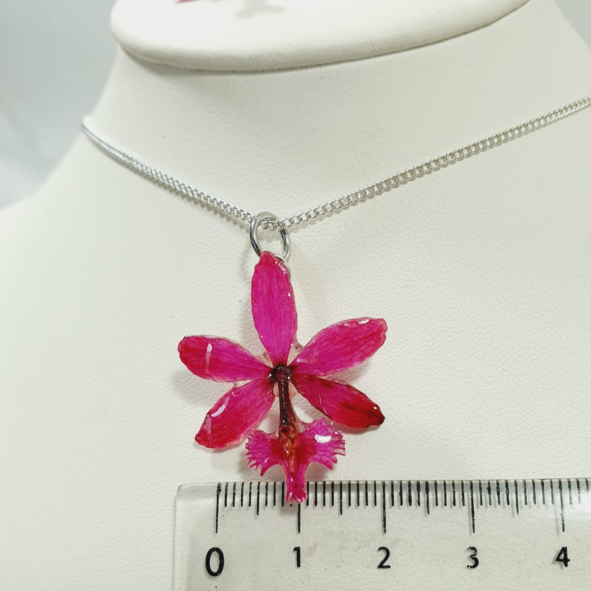 Juego de epidendrum rosa