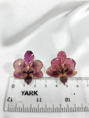 Aretes de mini phalaenopsis morada