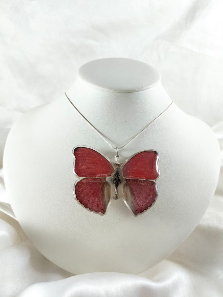 Dije de Mariposa Cymothoe sangaris con cadena de plata