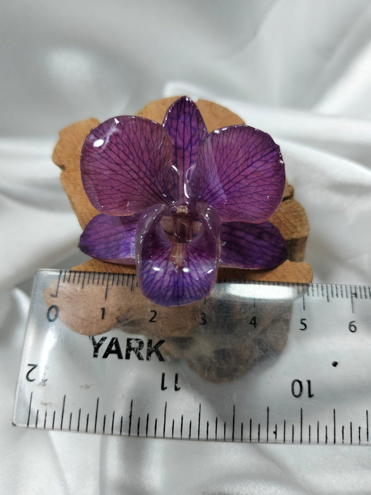 Anillo de dendrobium morada