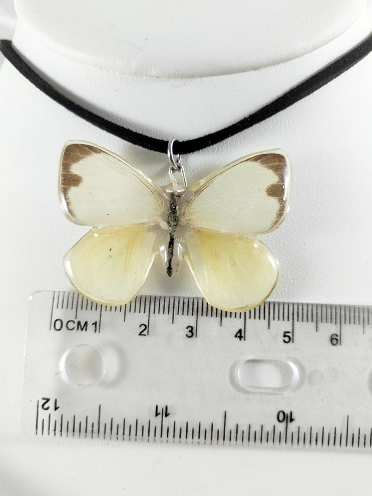 Dije de mariposa blanca