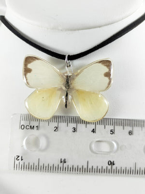 Dije de mariposa blanca