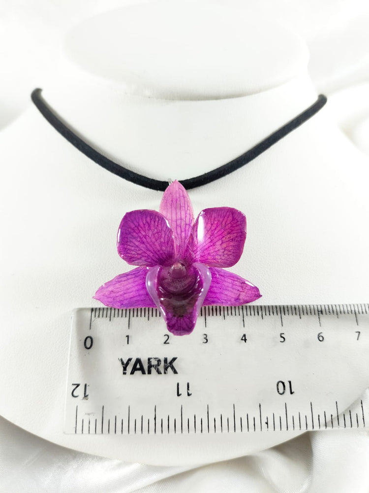 Dije de dendrobium mediana morada