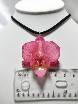 Dije de orquídea phalaenopsis rosa