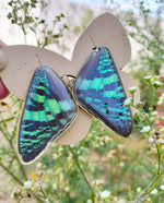 Aretes de Mariposa Madagascar