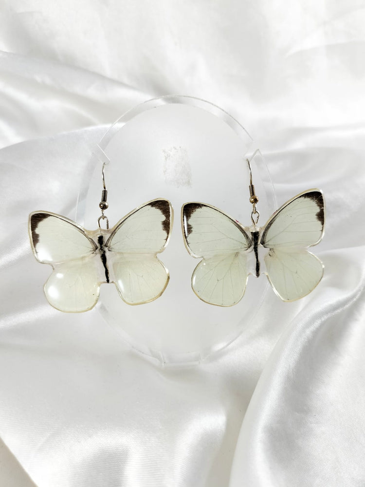 Aretes de mariposa blanca