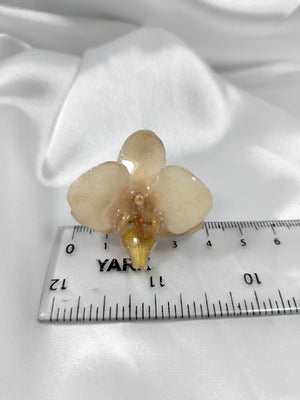 Anillo de phalaenopsis blanca