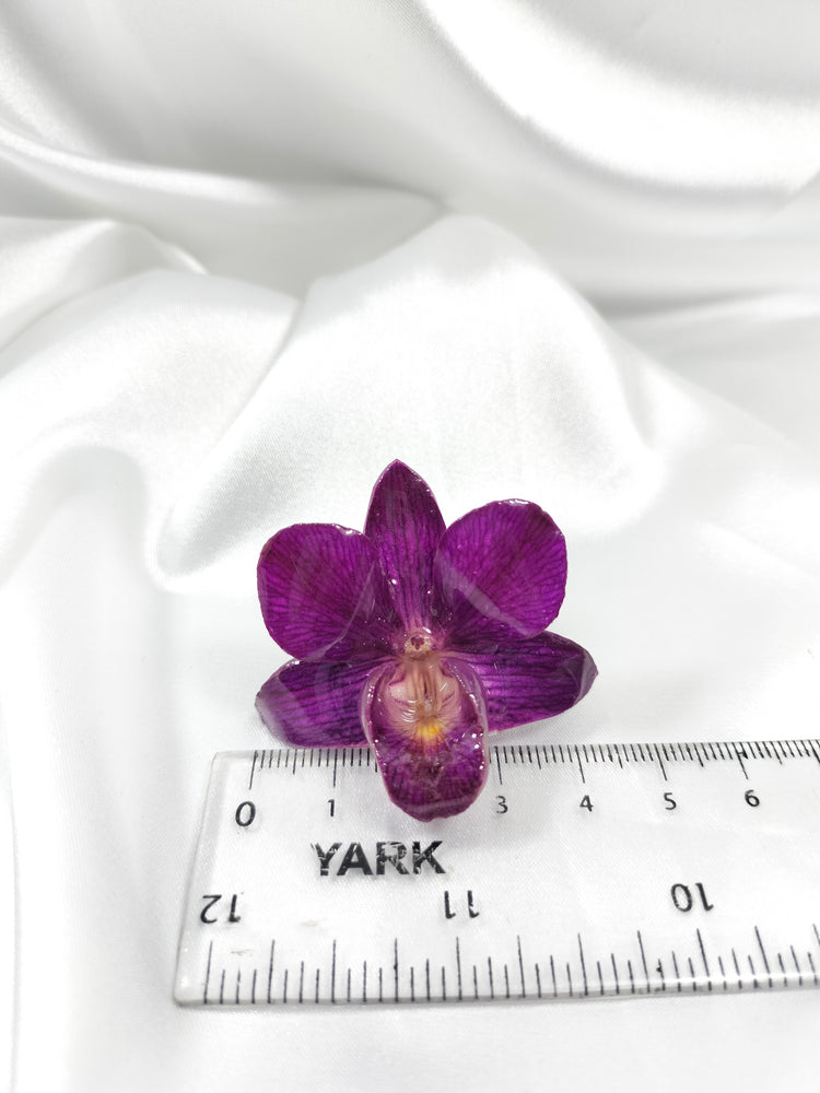 Anillo de dendrobium morada