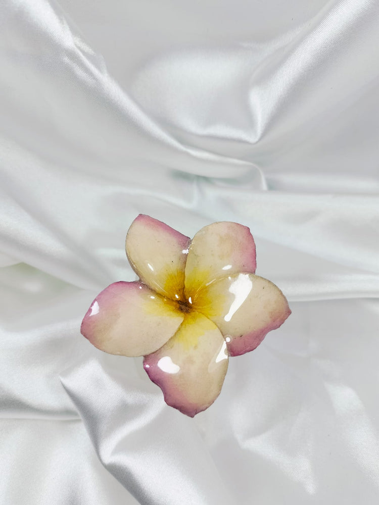 Anillo de flor de mayo blanca