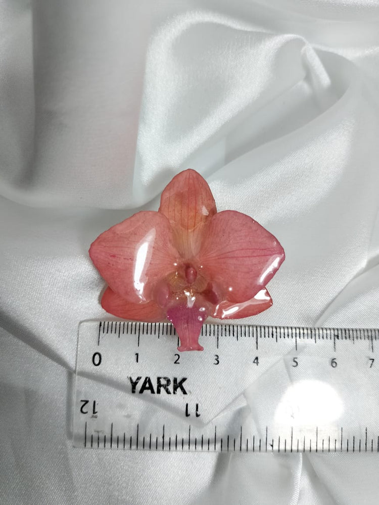 Broche de orquídea phalaenopsis rosa