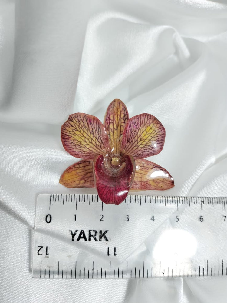 Broche de orquídea dendrobium en tonos burdeos