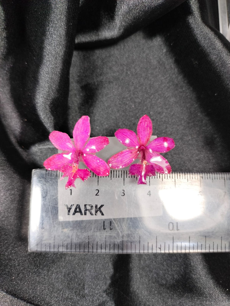 Aretes de orquídea epidendrum bugambilia