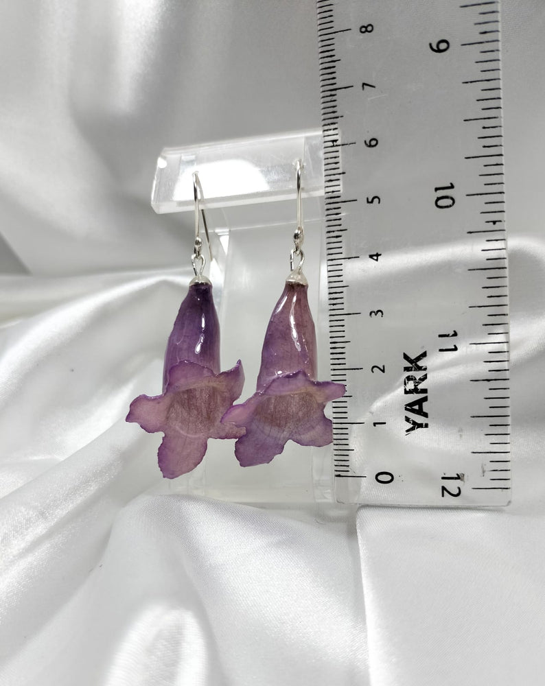 Aretes de jacarandas