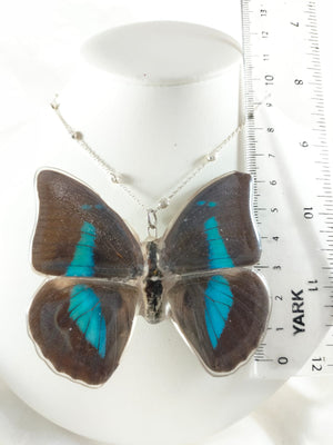 Dije de Mariposa prepona con cadena de plata