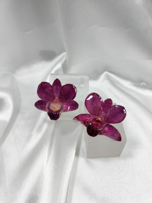 Aretes de dendrobium morada