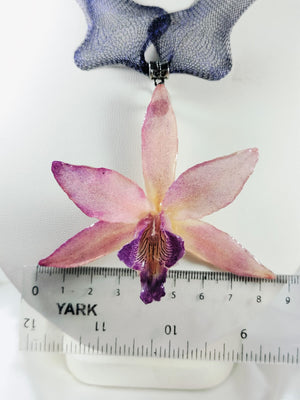 Laelia con collar de malla de titanio