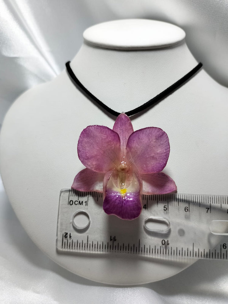 Dije de orquídea dendrobium rosa