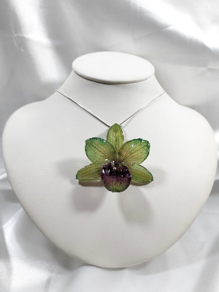 Dije de dendrobium nobile verde mediana con cadena de plata