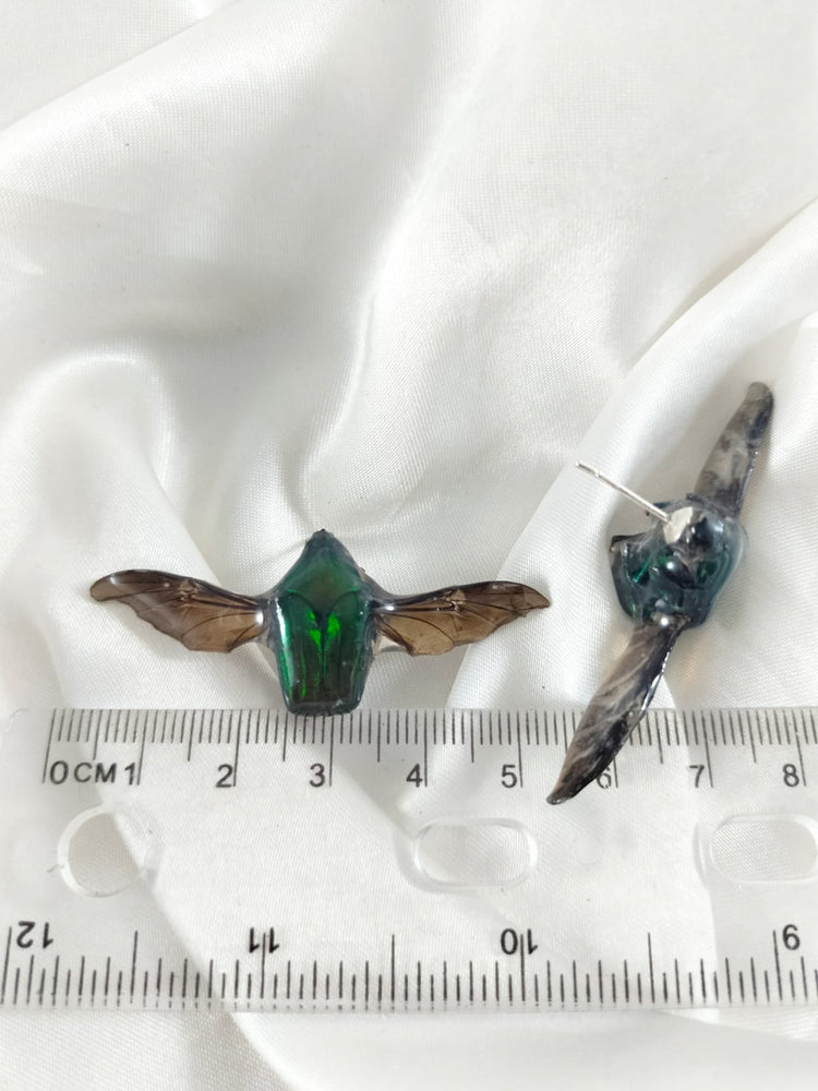 Aretes de escarabajos