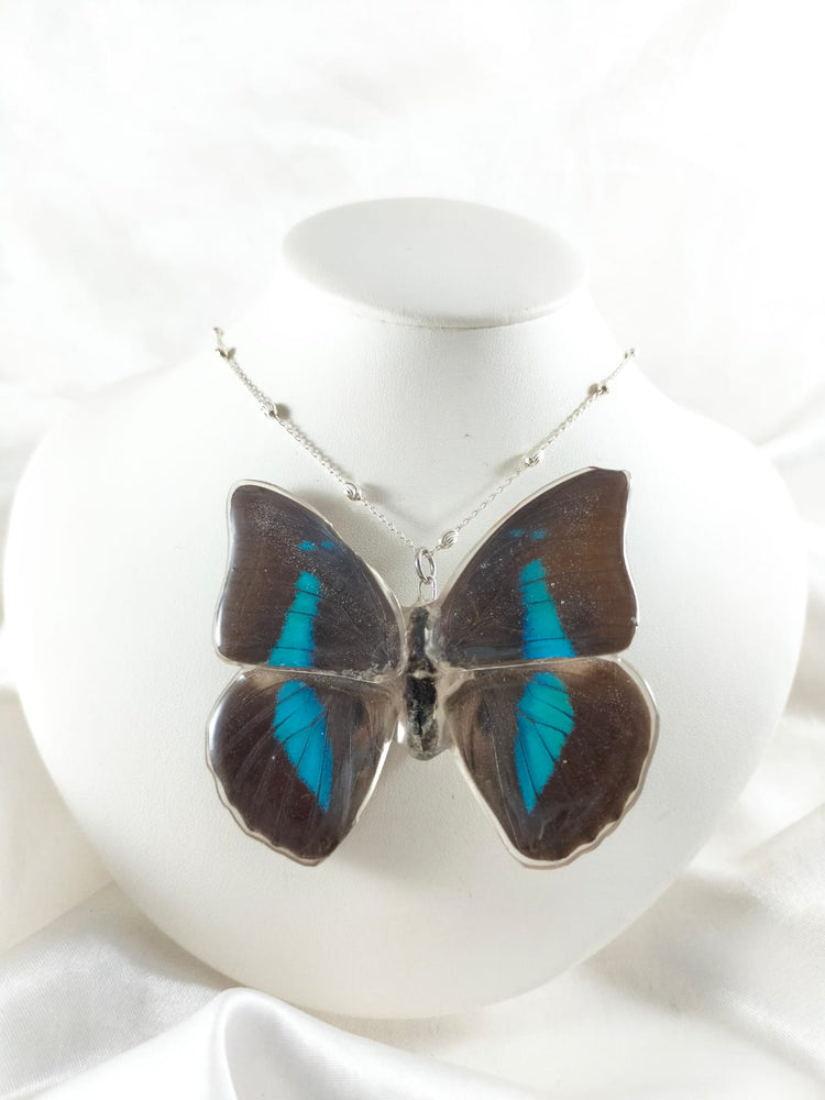 Dije de Mariposa prepona con cadena de plata