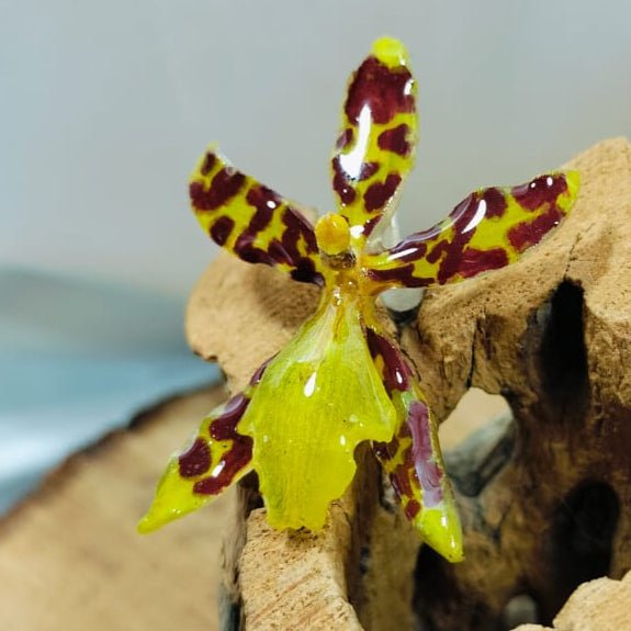Anillo de orquidea amarilla