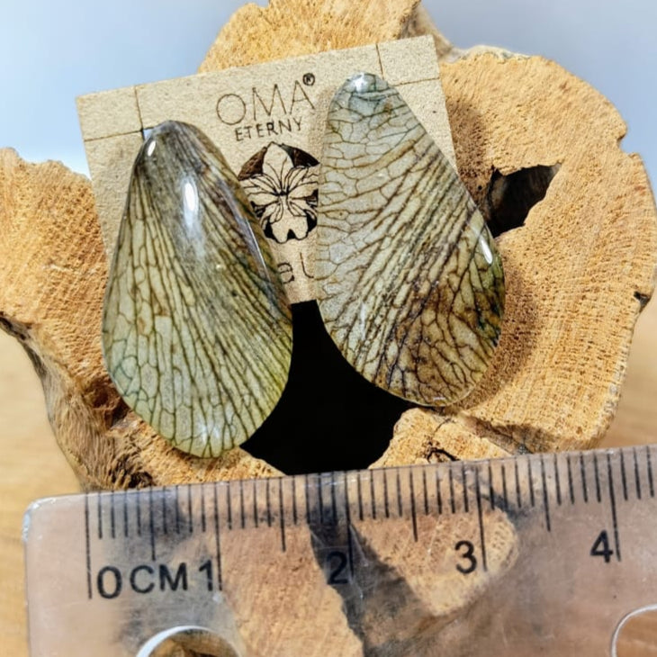 Aretes petalos  de orquidea marron