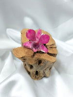 Anillo de dendrobium rosa