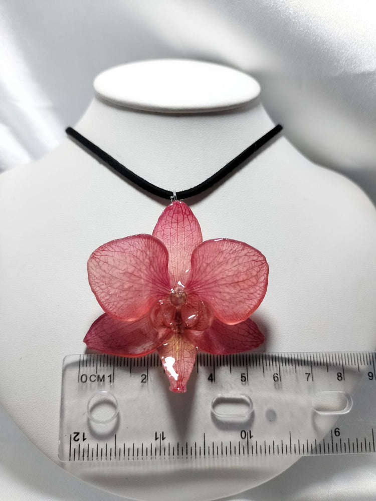 Dije de orquídea phalaenopsis rosa