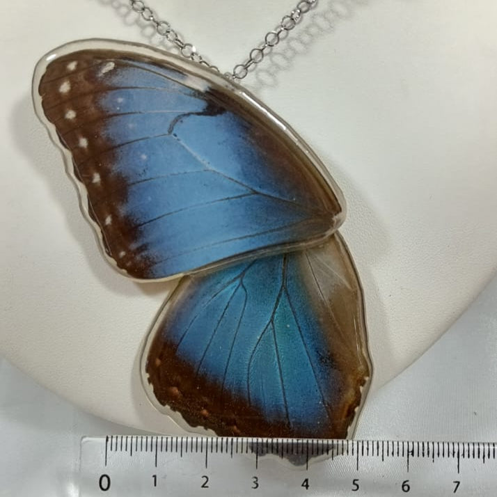 Ala de Mariposa Morpho Azul