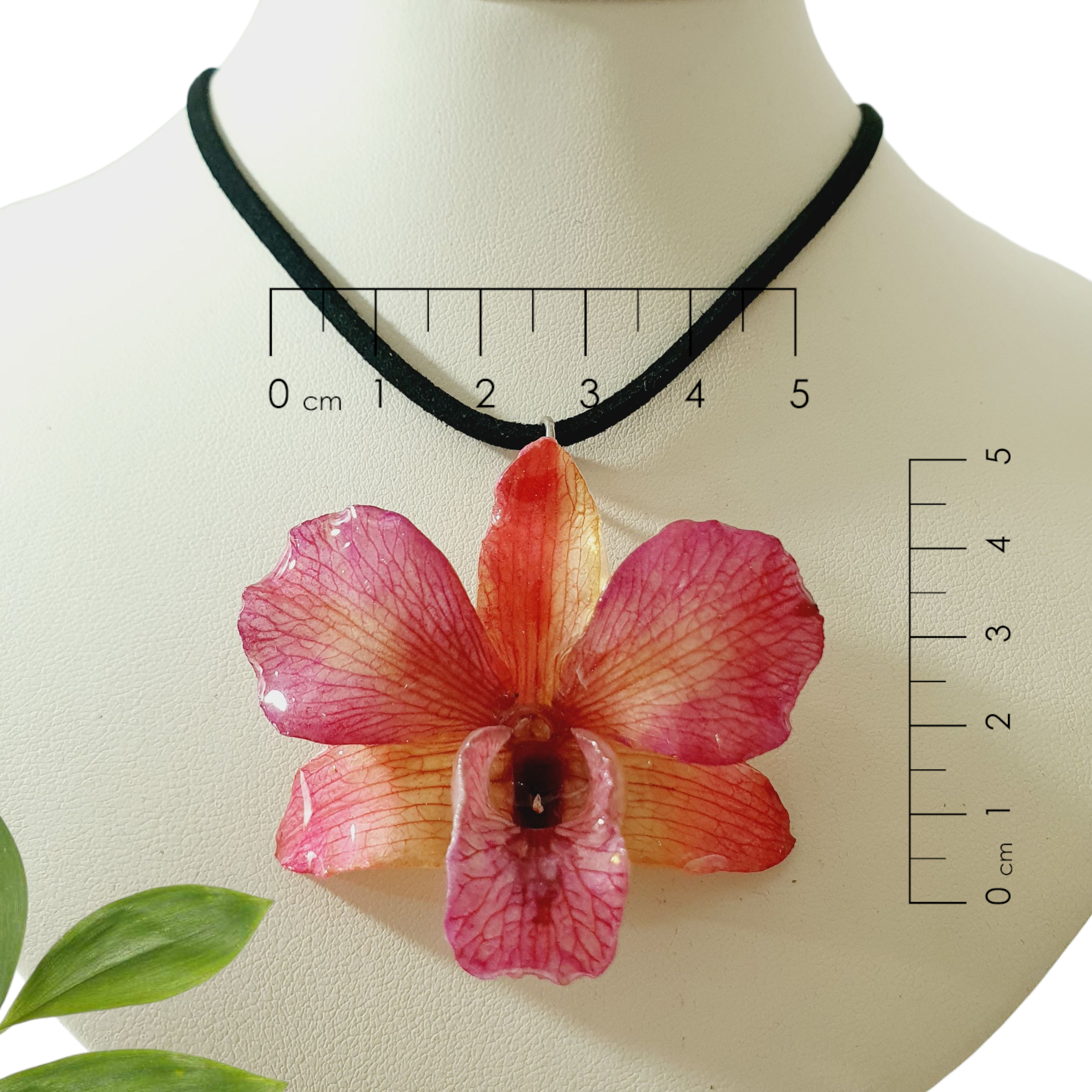 Orquídea Rosa