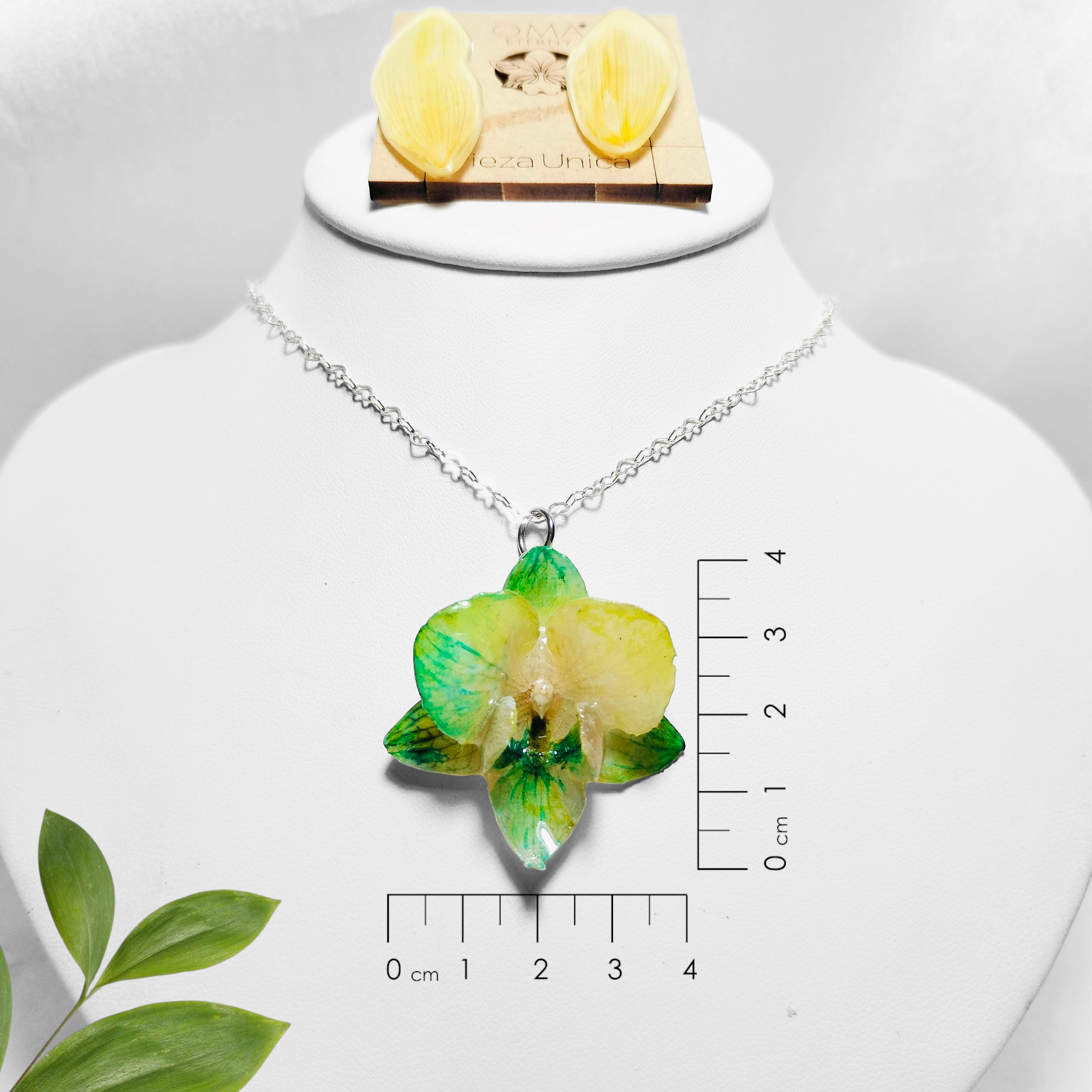 Orquídea Verde