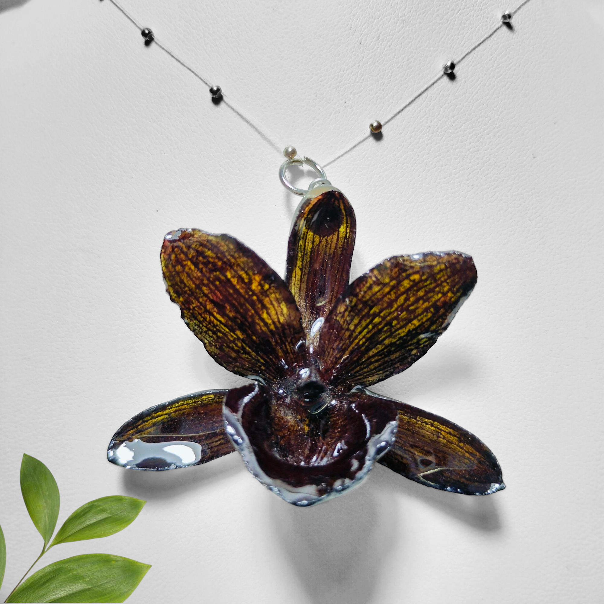 Orquídea Negra