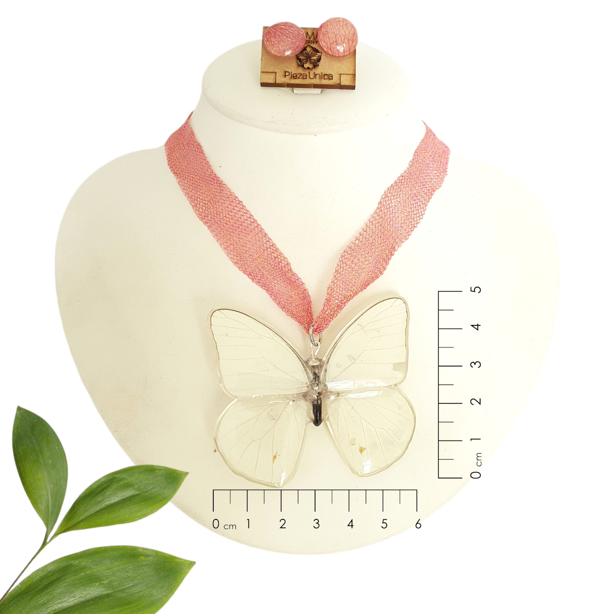 Juego de Mariposa Ascia Monuste con malla de Titanio