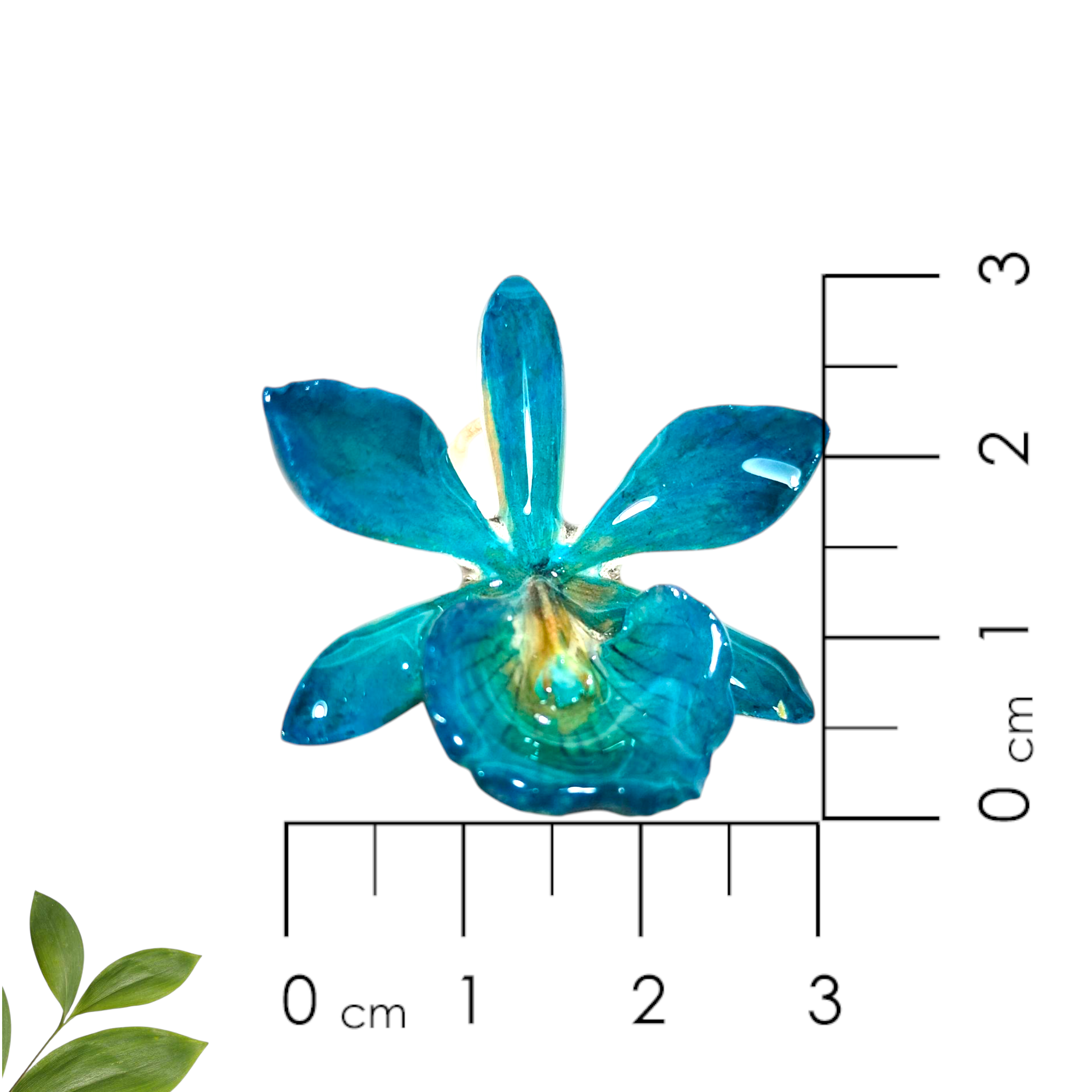 Anillo de Radiata Azul