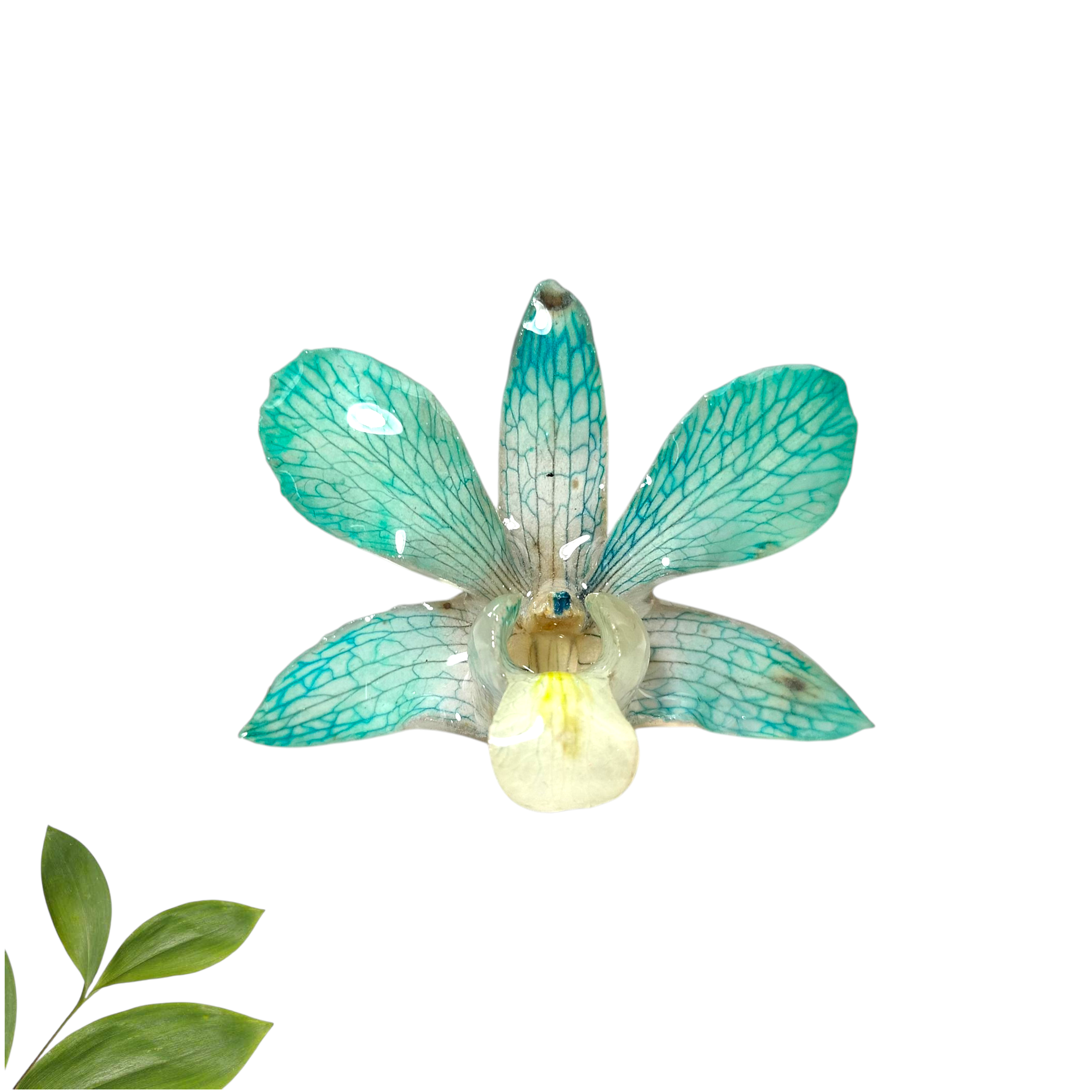 Broche Turquesa
