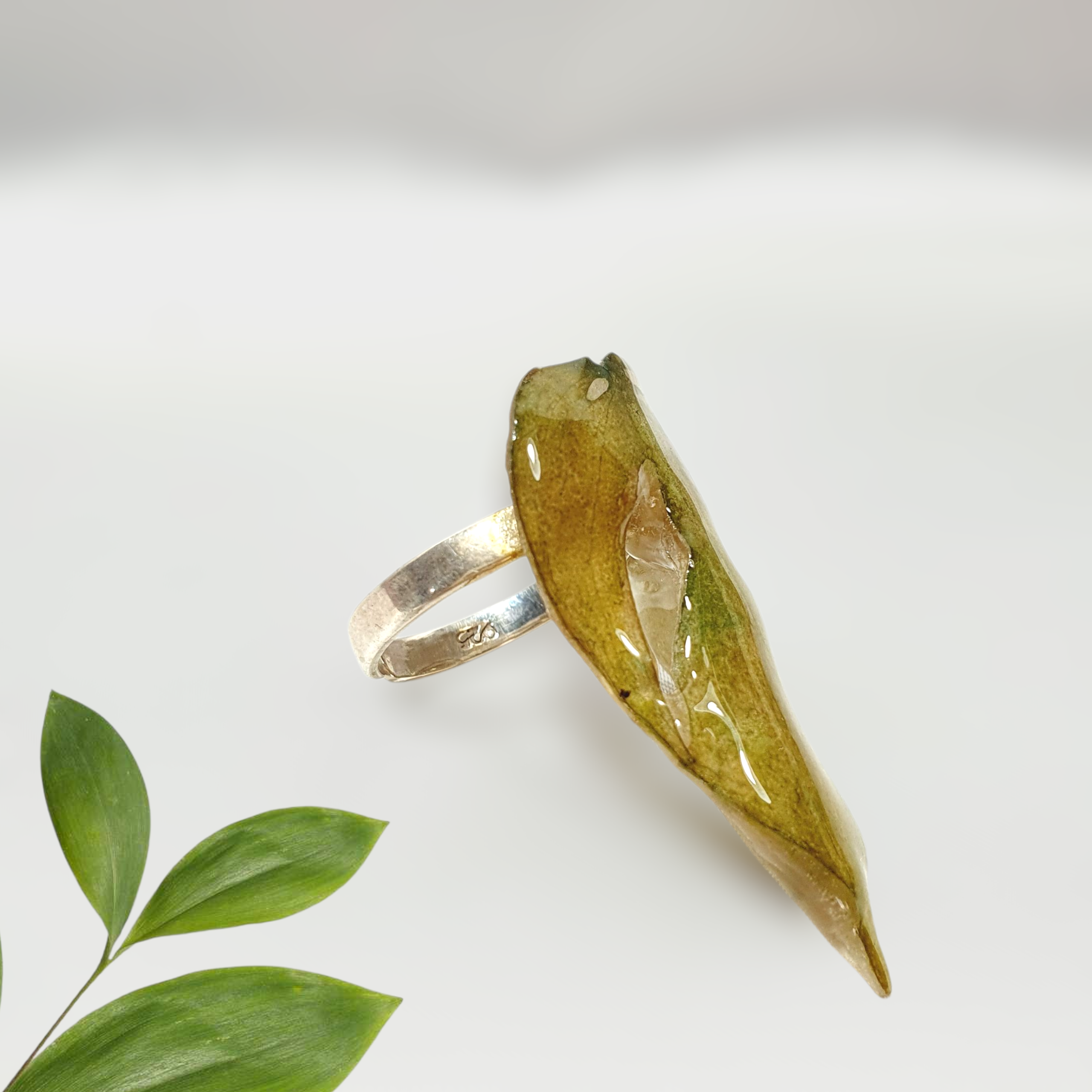 Hoja natural de monstera encapsulada con anillo de plata ajustable