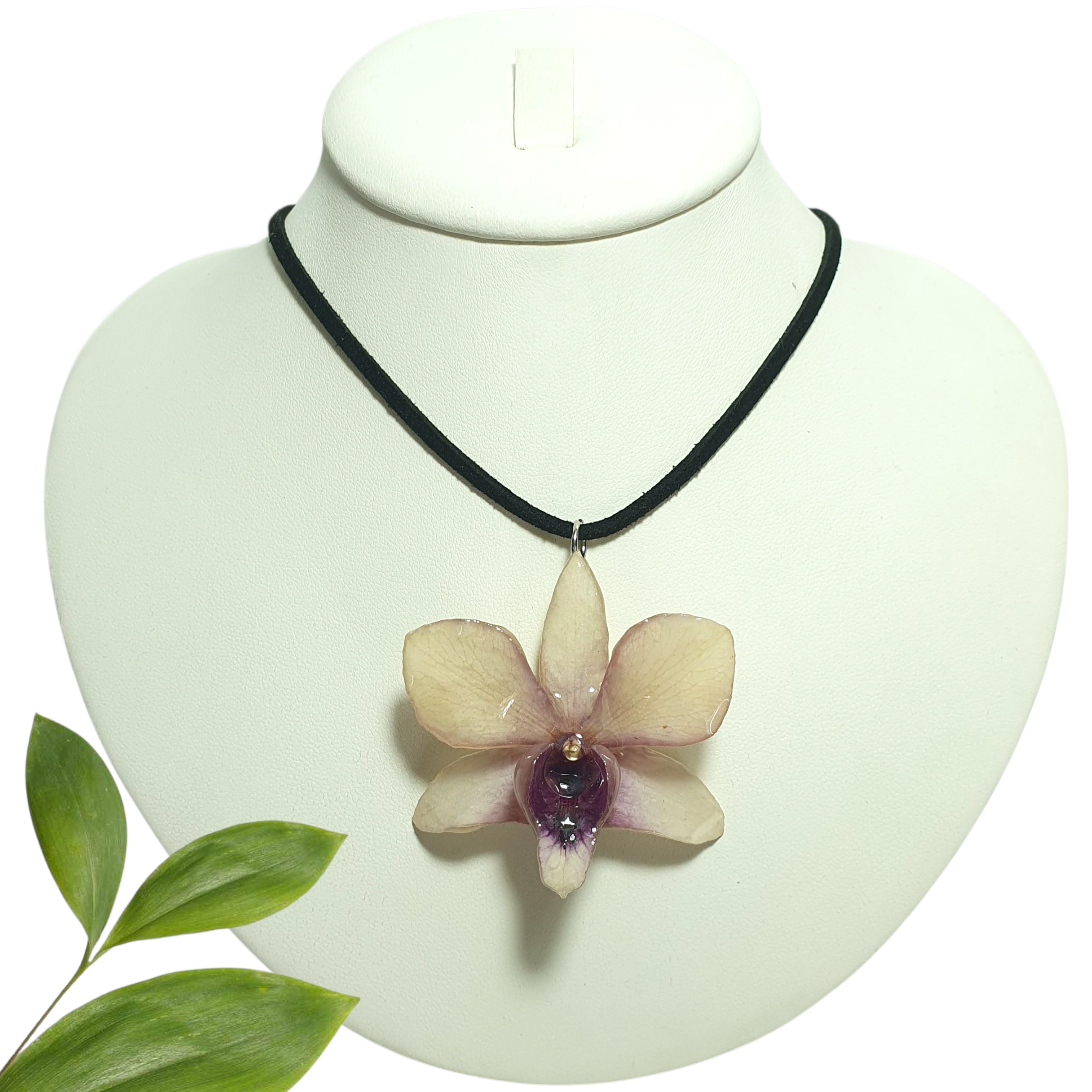Dendrobium blanca en collar de gamuza