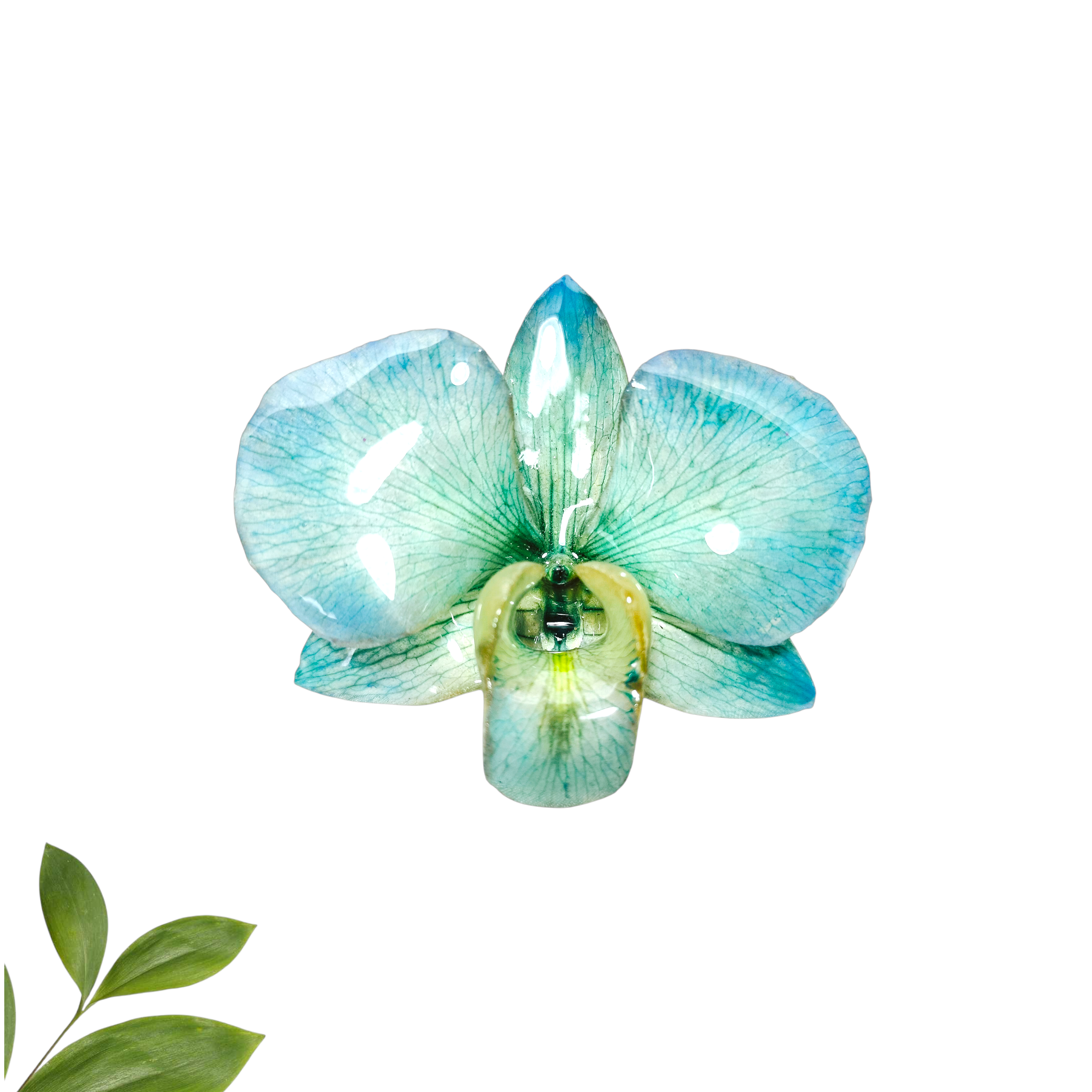Broche de Ropa Azul