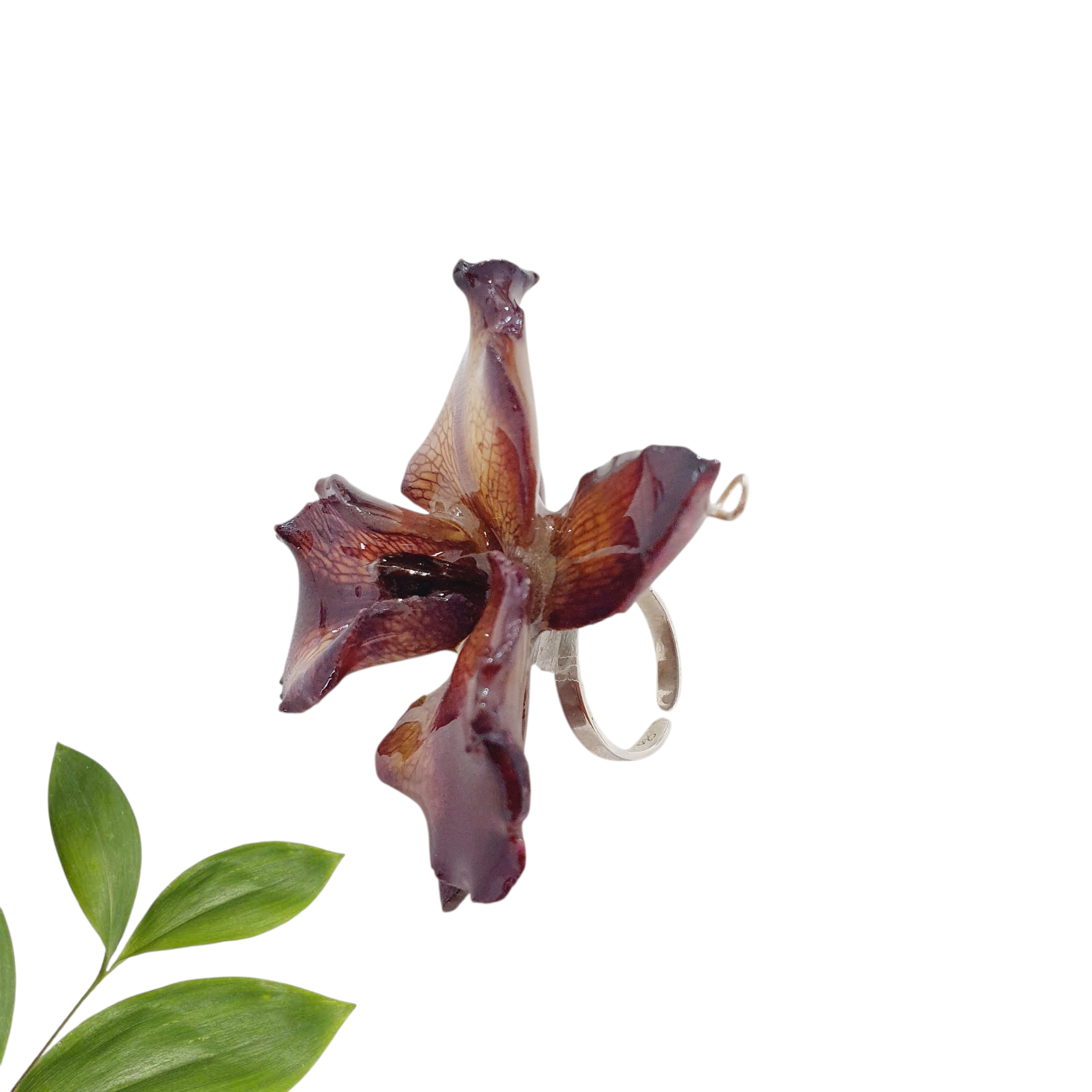 ANILLO orquídea cattleya