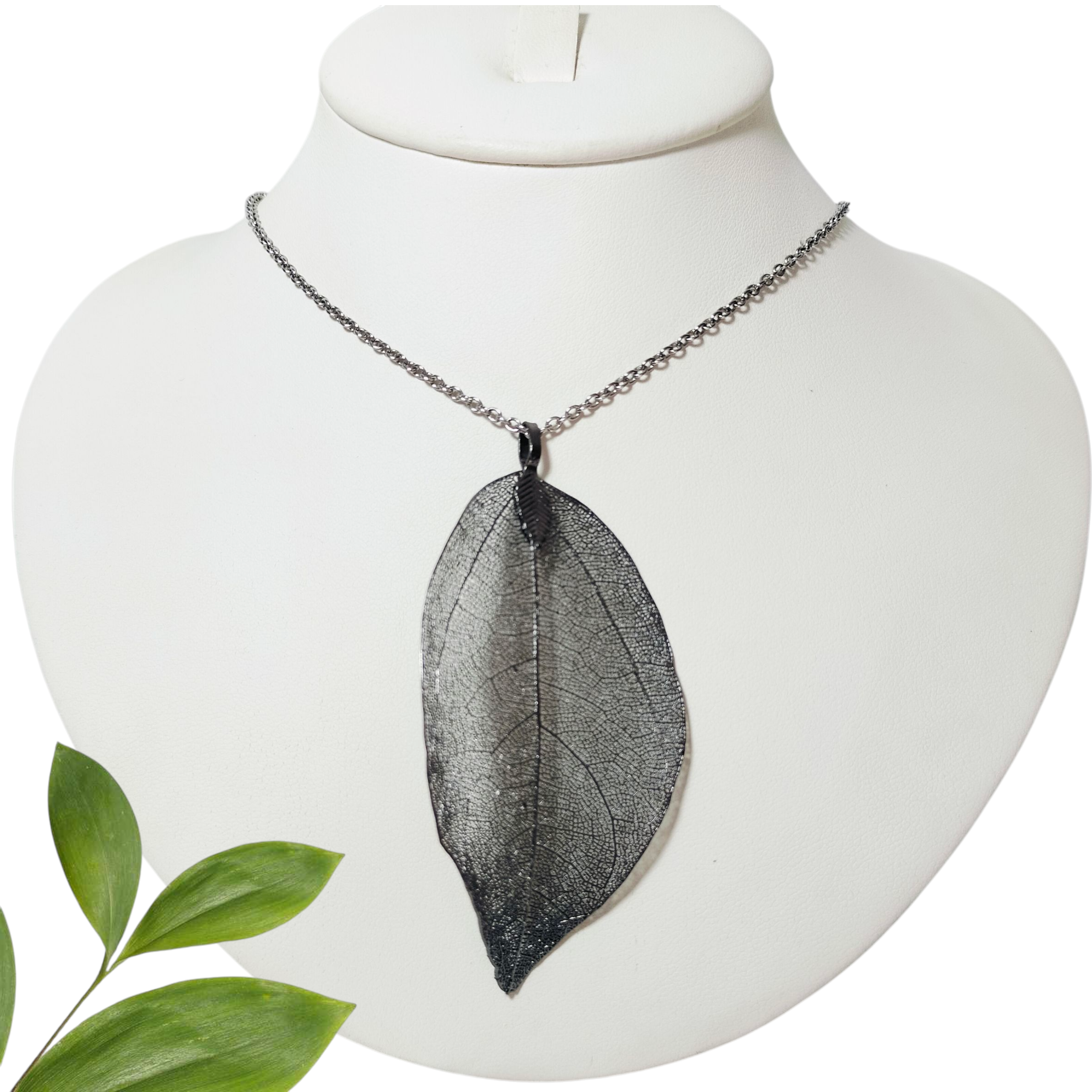 Esqueleto de Hoja Negra