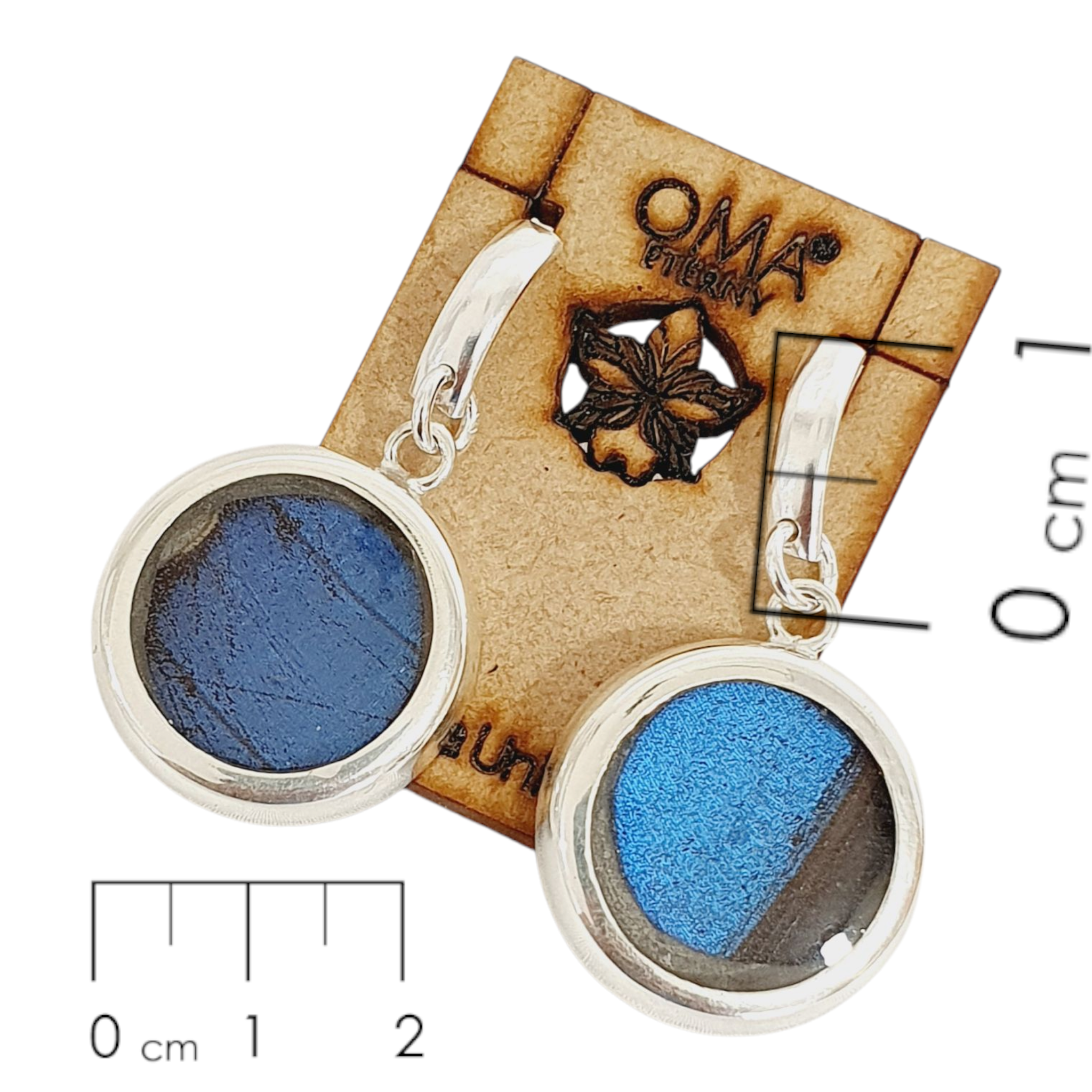 Aretes Fragmento de ala azul