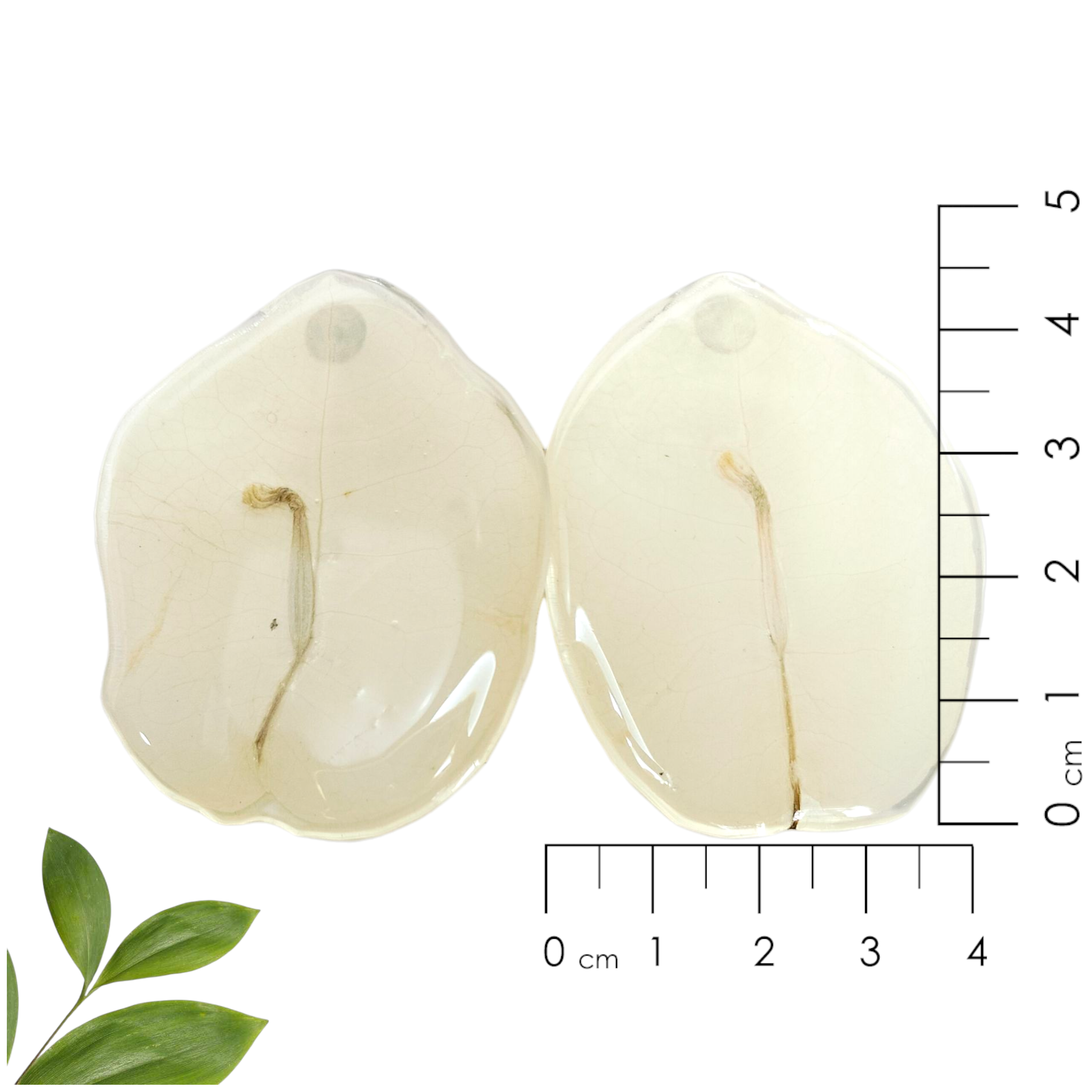 Aretes de Pétalo de Bugambilia